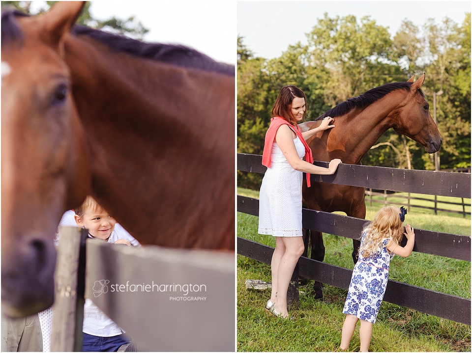 Dc Northern Virginia Twins Photographer Horse Farm