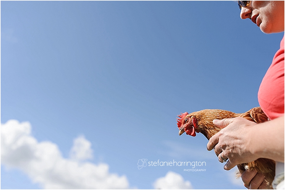 destination photography italy chicken