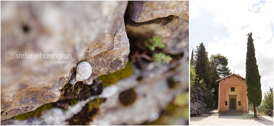 travel photography italy | snail