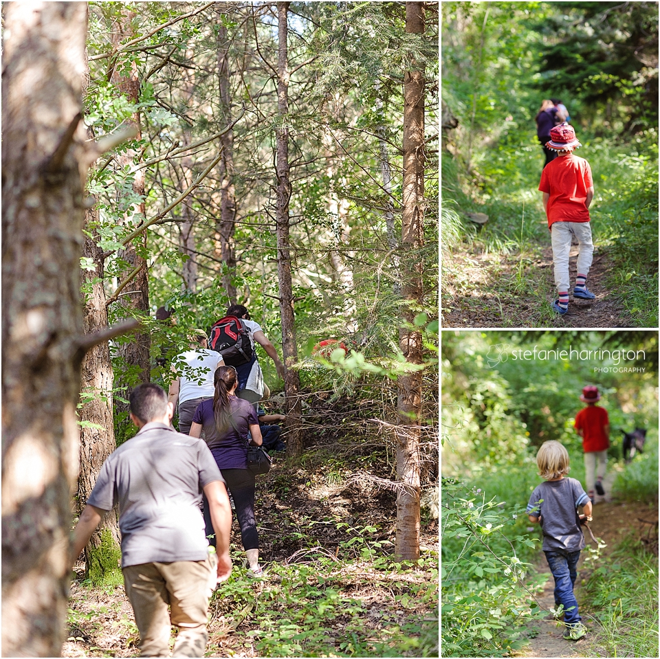 travel photography italy |truffles