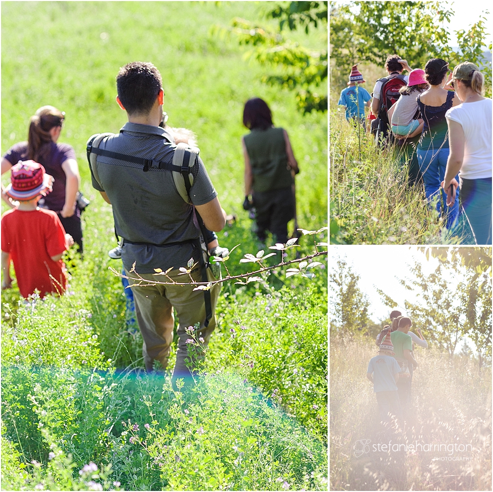 travel photography italy | truffles in umbria