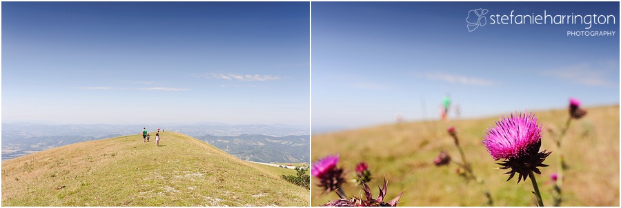 italy travel photographer | www.stefanieharrington.com | monte cucco wildflowers