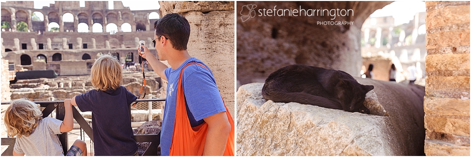 rome travel photography | www.stefanieharrington.com | colosseum cats