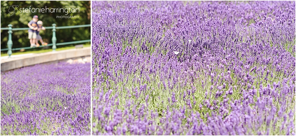 dc children photographer | summer adventures