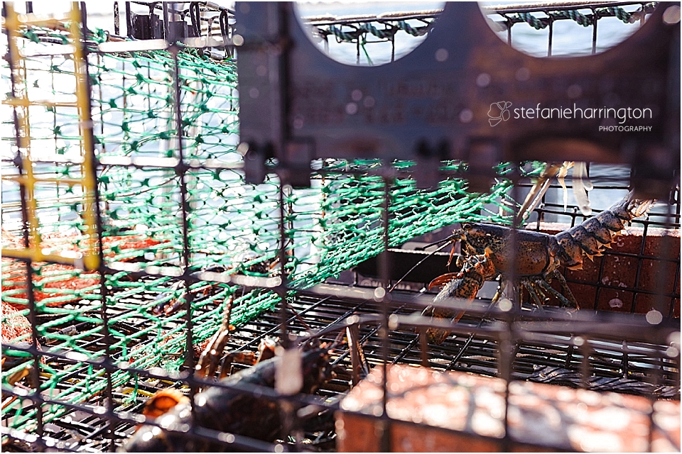 dc children photographer | family travel