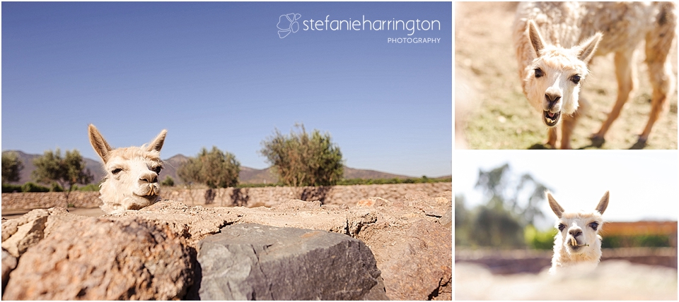 travel photography south america | chile