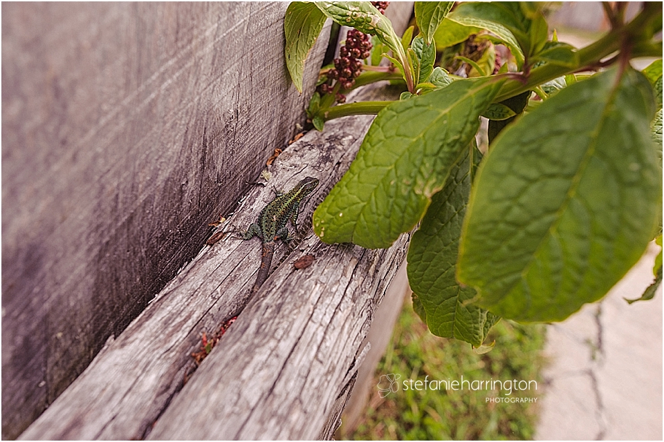 travel photography south america | chile