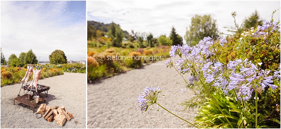 travel photographer chile | best restaurants