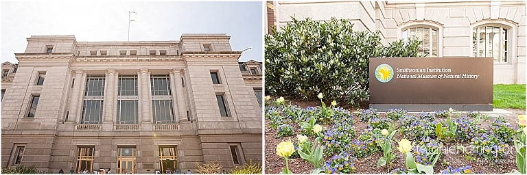 dc documentary photography | spring break adventure ideas