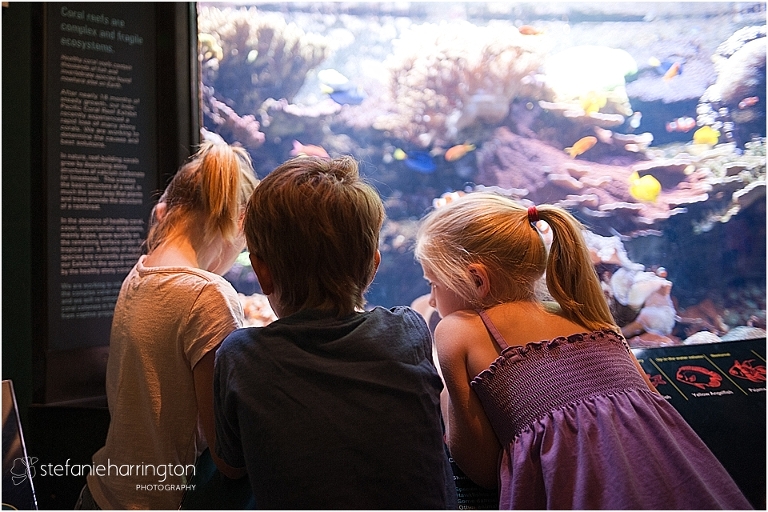 dc documentary photography | spring break adventure ideas