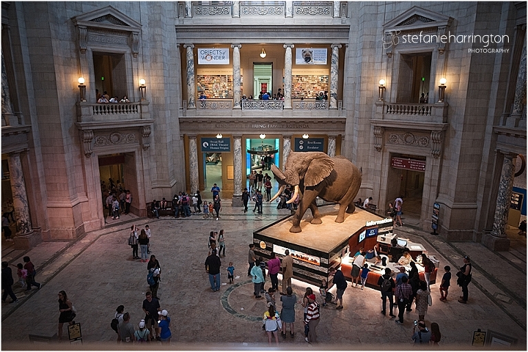 dc documentary photography | spring break adventure ideas