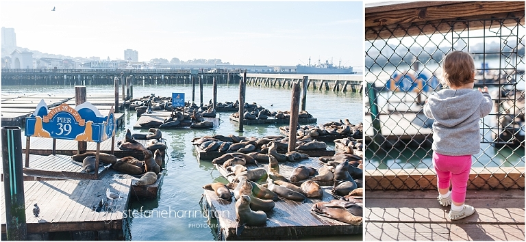 travel photography san francisco | best restaurants